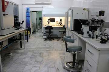 semums-en.amirhos.ivf ward 